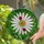 White Daisy Flower Ladybug Tiffany Stained Glass Green Foliage Mosaic Natural Environment Stained Glass Suncatcher - 2