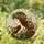 Stained Glass Woman Profile - Auburn Hair Leafy Wreath Foliage Tiffany Style Art Stained Glass Suncatcher - 1