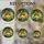 Highly Detailed Peaches Apricots Stained Glass Blossoms - Lush Emerald Green Foliage Tiffany Jewel Tones Stained Glass Suncatcher - 4