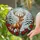 Stag Antlers Poinsettia Snowy Winter Forest - Tiffany Glass Christmas Holiday Decor Gift Stained Glass Suncatcher - 2
