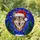 Majestic Wolf Santa Hat Stained Glass Winter Night Pine Trees - Christmas Holiday Gift Stained Glass Suncatcher - 1