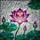 Fuchsia Violet Lotus Flower Stained Glass Mosaic Art - Tiffany Style Window Decor Stained Glass Suncatcher - 5