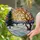 Winter Landscape Sunset Stained Glass - Bare Trees Pine Mountain Icy River Window Decor Stained Glass Suncatcher - 2
