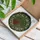 Stained Glass Succulent Plant Mosaic - Tiffany Style Echeveria Haworthia Moss Green Art Stained Glass Suncatcher - 3