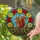 Red Squirrel Bushy Tail Rose Wreath Stained Glass - Tiffany Style Mosaic Sky Art Stained Glass Suncatcher - 2