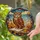 Stained Glass Wise Owl Teacup Book - Autumn Leaves Tranquil Sky Reading Room Decor Stained Glass Suncatcher - 2