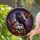 Black Raven Skull Bats Autumn Leaves Deep Purple Sky Tiffany Stained Glass Decor Stained Glass Suncatcher - 2
