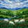 White Sheep Grazing Field Stained Glass Style - Red Poppies Blue Stream Hills Mountain Art Stained Glass Suncatcher - 5