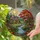 Stained Glass Cottage Garden Autumn Tree Stream Rolling Hills Colorful Jewel Tones Stained Glass Suncatcher - 2