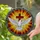 Majestic White Dove Mosaic Cross Sunburst Intricate Tiffany Glass Window Art Stained Glass Suncatcher - 2