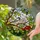 Black-Capped Chickadee Stained Glass Bird Art - Pink Blossom Red Berry Green Leaf Tiffany Stained Glass Suncatcher - 2