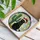 Black Cat Santa Hat Christmas Lights Cactus Stained Glass Tiffany Art Holiday Decor Stained Glass Suncatcher - 3
