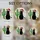 Black Cat Santa Hat Christmas Lights Cactus Stained Glass Tiffany Art Holiday Decor Stained Glass Suncatcher - 4