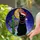 Black Cat Santa Hat Christmas Cactus - Stained Glass Holiday Gift for Cat Lovers Stained Glass Suncatcher - 2