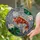 Red Orange Koi Fish Elaborate Fins White Lotus Flower Stained Glass Water Art Gift Stained Glass Suncatcher - 2