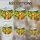 Golden Cocker Spaniel Dog with Monarch Butterfly & Daffodil Tiffany Stained Glass Stained Glass Suncatcher - 4