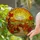Cornucopia Autumn Leaves Tiffany Glass Mosaic - Rich Autumnal Harvest Thanksgiving Decor Stained Glass Suncatcher - 2