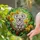 Koala Bear Orchid Stained Glass Mosaic Art - Glowing Translucent Tiffany Style Home Decor Stained Glass Suncatcher - 2
