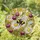 Bumblebee Daisy Tiffany Style Stained Glass Garden Art - Honeycomb Floral Nature Scene Stained Glass Suncatcher - 1