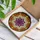 Highly Detailed Celtic Knot Fleur-de-lis Stained Glass Autumn Foliage Berries Mosaic Stained Glass Suncatcher - 3