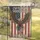 Bald Eagle American Flag 1776-2026 - USA 250th Anniversary Patriotic Gift for Veterans Garden Flag - 5