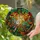 Stained Glass Tiffany Cockatiel Bird Suncatcher with Green Leaves, Orange Yellow Mosaic Stained Glass Suncatcher - 2