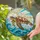 Intricate Sea Turtle Stained Glass Tiffany Style Ocean Waves Sunrays Jewel Tone Art Stained Glass Suncatcher - 2