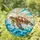 Intricate Sea Turtle Stained Glass Tiffany Style Ocean Waves Sunrays Jewel Tone Art Stained Glass Suncatcher - 1