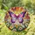 Detailed Stained Glass Butterfly Sun & Flowers - Glowing Jewel Tone Tiffany Decor Art Stained Glass Suncatcher - 1