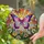 Detailed Stained Glass Butterfly Sun & Flowers - Glowing Jewel Tone Tiffany Decor Art Stained Glass Suncatcher - 2