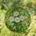 Four White Daisies Green Leaves Tiffany Style Stained Glass Lush Garden Floral Art Stained Glass Suncatcher - 1