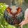 Menacing Horned Gargoyle Stained Glass Art - Gothic Medieval Castle Full Moon Mosaic Stained Glass Suncatcher - 2