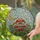 Mushroom Golden Crescent Moon Stained Glass Art - Tiffany Style Green Foliage Flowers Stained Glass Suncatcher - 2