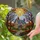 Stone Cottage Stained Glass Art - Radiant Sun, Autumn Trees, Jewel Tone Home Decor Gift Stained Glass Suncatcher - 2