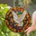 White Dove Autumn Foliage Detailed Mosaic Stained Glass - Jewel Tone Fall Nature Decor Stained Glass Suncatcher - 2