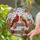 Male Female Cardinals Stained Glass Art, Winter Berries Autumn Leaves Winter Landscape Decor Stained Glass Suncatcher - 2