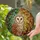Barn Owl Autumn Foliage Tiffany Stained Glass Art - Golden Eyes Forest Mosaic Decor Stained Glass Suncatcher - 2