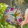 Hummingbird Stained Glass Flowers - Tiffany Style Jewel Tone Window Art Home Decor Gift Stained Glass Suncatcher - 2