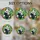 Adult Panda Cub Embrace Tiffany Stained Glass Tropical Jungle Flowers Jewel Tone Art Stained Glass Suncatcher - 4