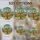 duiyfppz/products/69d86bd0ec77b5713b3d6d5a/gallery/d3pzQW0aaQ