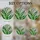 duiyfppz/products/69d86cbf343cfa818695f89d/gallery/vTQoOVkeHq