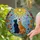 Black Cat Orange Tabby Tiffany Style Suncatcher, Radiant Sun & Flowers - Cat Lover Gift Stained Glass Suncatcher - 2
