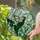 Monarch Butterfly Lily of the Valley Stained Glass Art Tiffany Style Intricate Detail Stained Glass Suncatcher - 2
