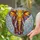 Majestic Elephant Stained Glass Mosaic Art - Intricate Tiffany Style Jewel Tones Stained Glass Suncatcher - 2