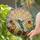 Hummingbird In-Flight Stained Glass Art, Flowers & Sunrays Sky Mosaic – Tiffany Style Decor Stained Glass Suncatcher - 2