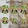 duiyfppz/products/69d873ef343cfa3a88960ce9/gallery/2MNs4MpEk2