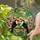 duiyfppz/products/69d873ef343cfa3a88960ce9/gallery/fpuAiRaLdr
