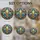 duiyfppz/products/69d8743b2c3d40ce26b64dd8/gallery/3x2PqsT6Dy