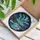 Winter River Aurora Borealis Landscape Evergreen Trees Snowy Mountains - Tiffany Art Decor Gift Stained Glass Suncatcher - 3