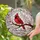 Red Cardinal Bird Cherry Blossom Stained Glass - 'I Am Always With You' Sympathy Gift Stained Glass Suncatcher - 2